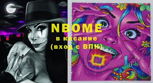 хмурый Белокуриха