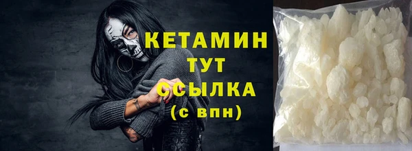 хмурый Белокуриха