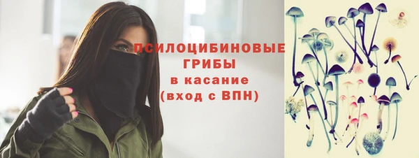хмурый Белокуриха