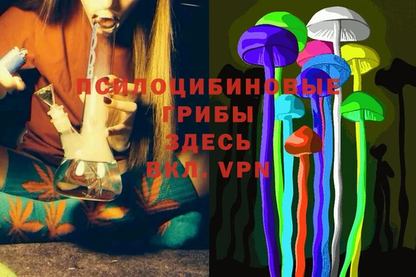 хмурый Белокуриха