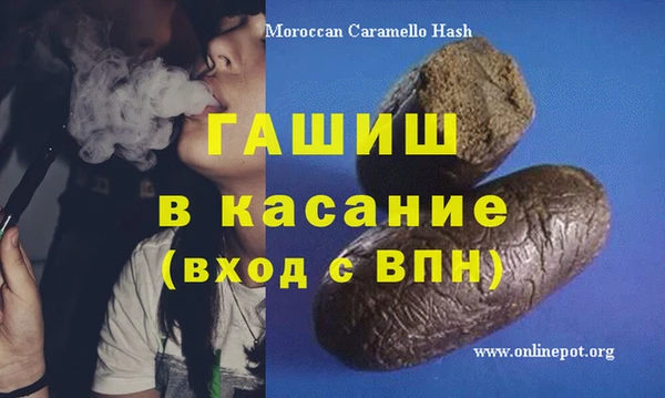 хмурый Белокуриха