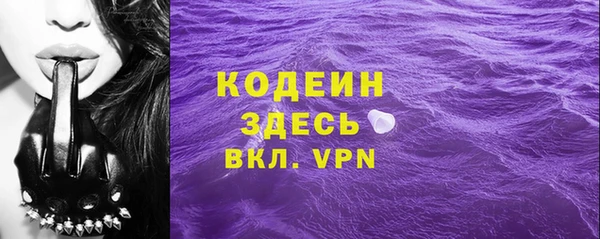 хмурый Белокуриха