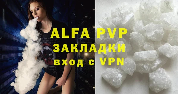 хмурый Белокуриха