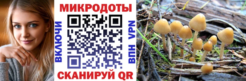 Псилоцибиновые грибы мухоморы  Великие Луки 