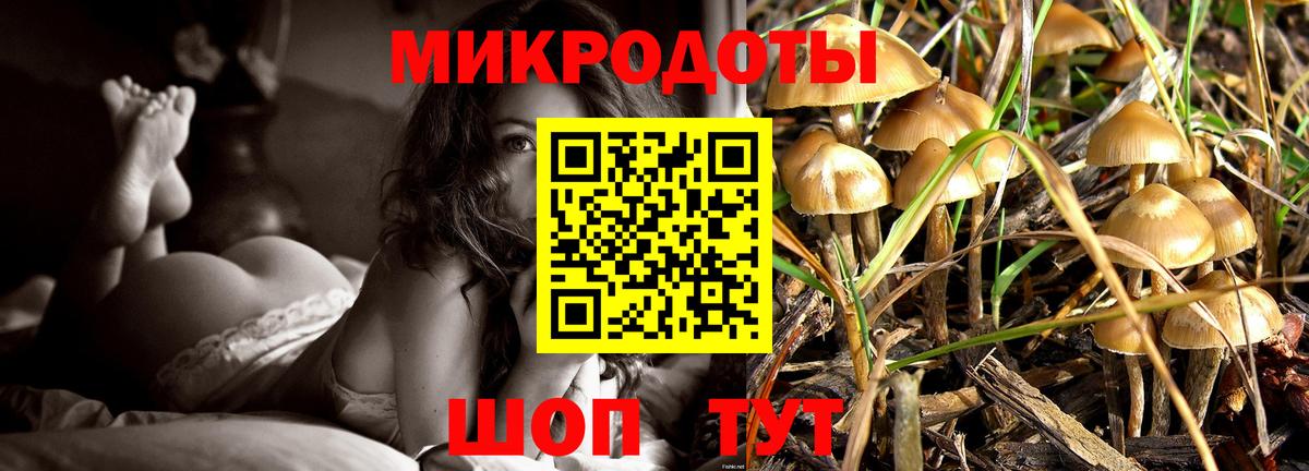 Псилоцибиновые грибы Великие Луки
