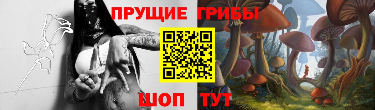 Галлюциногенные грибы Magic Shrooms  Галлюциногенные грибы Magic Shrooms  Вход с VPN  Великие Луки 
